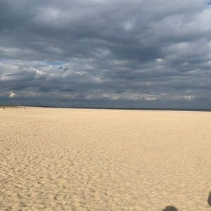 Meet your Posher, Dominique